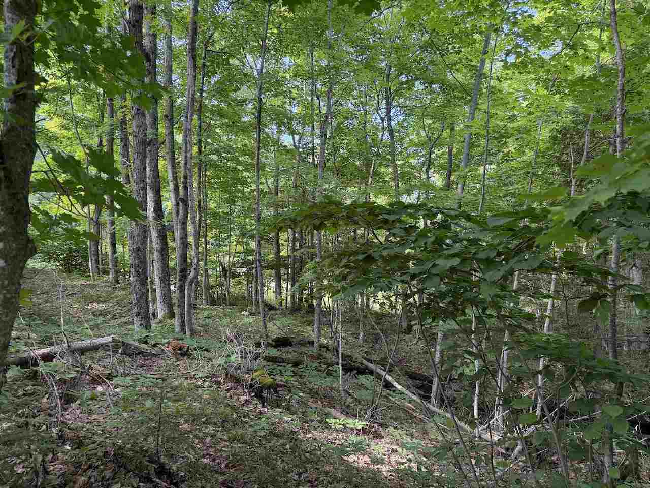 37690 37690 Allen's Lakeview Road Beaver Island MI 49782