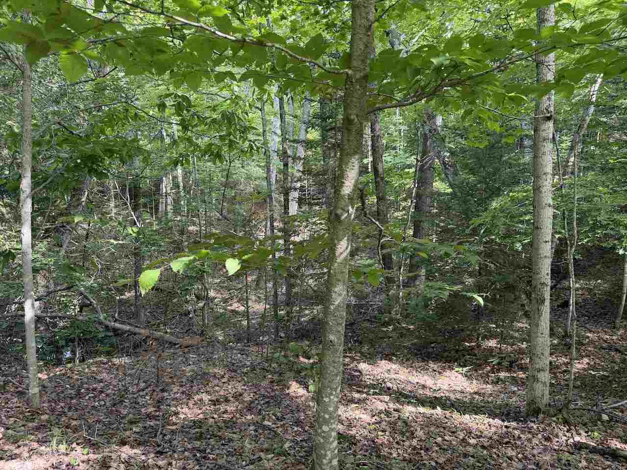 37690 37690 Allen's Lakeview Road Beaver Island MI 49782