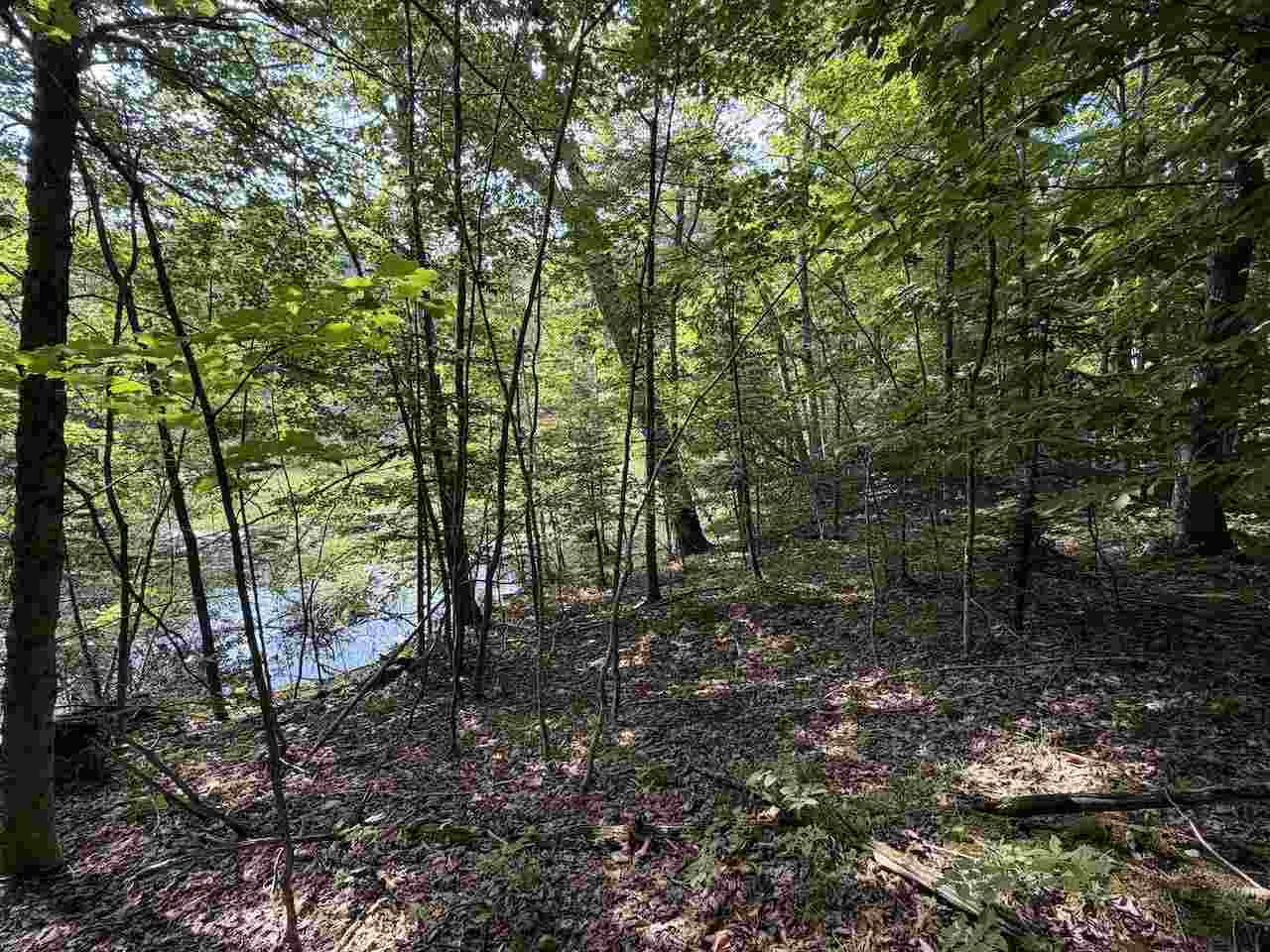 37690 37690 Allen's Lakeview Road Beaver Island MI 49782