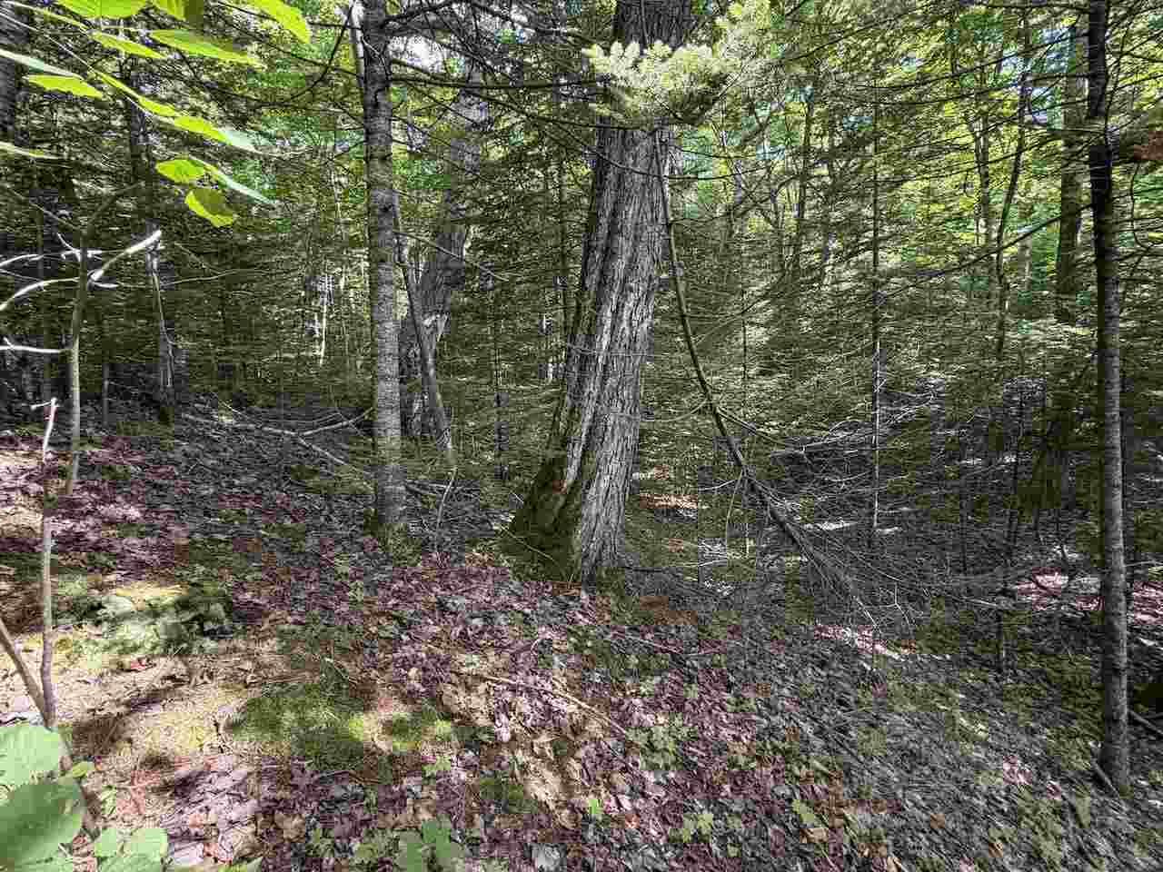37690 37690 Allen's Lakeview Road Beaver Island MI 49782