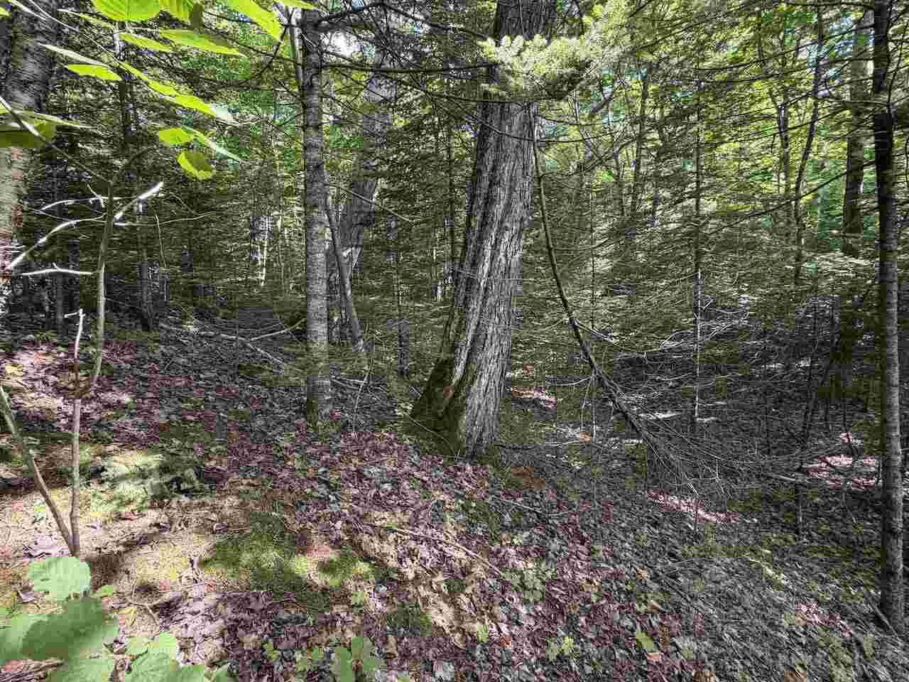37690 37690 Allen's Lakeview Road Beaver Island MI 49782