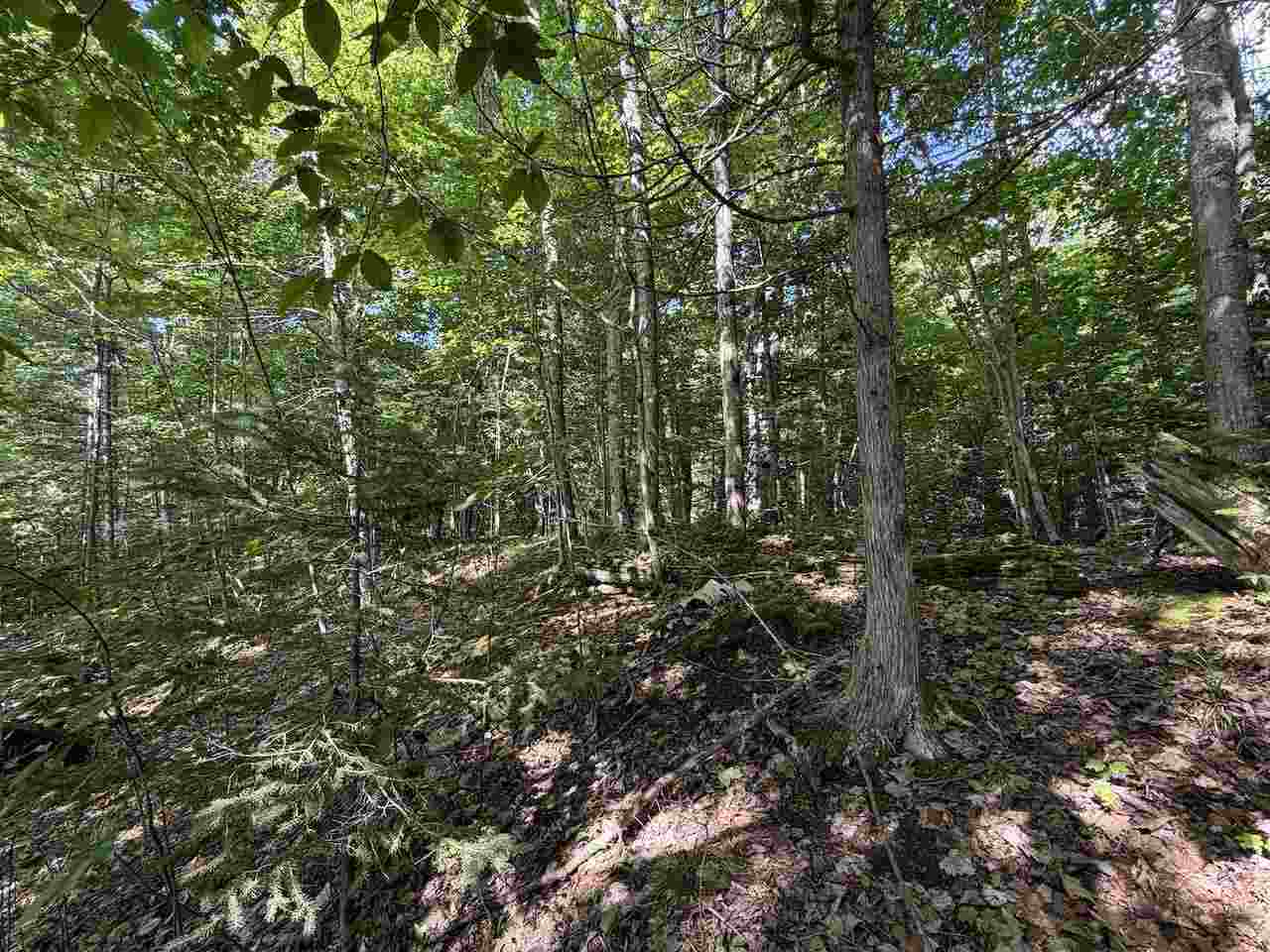 37690 37690 Allen's Lakeview Road Beaver Island MI 49782