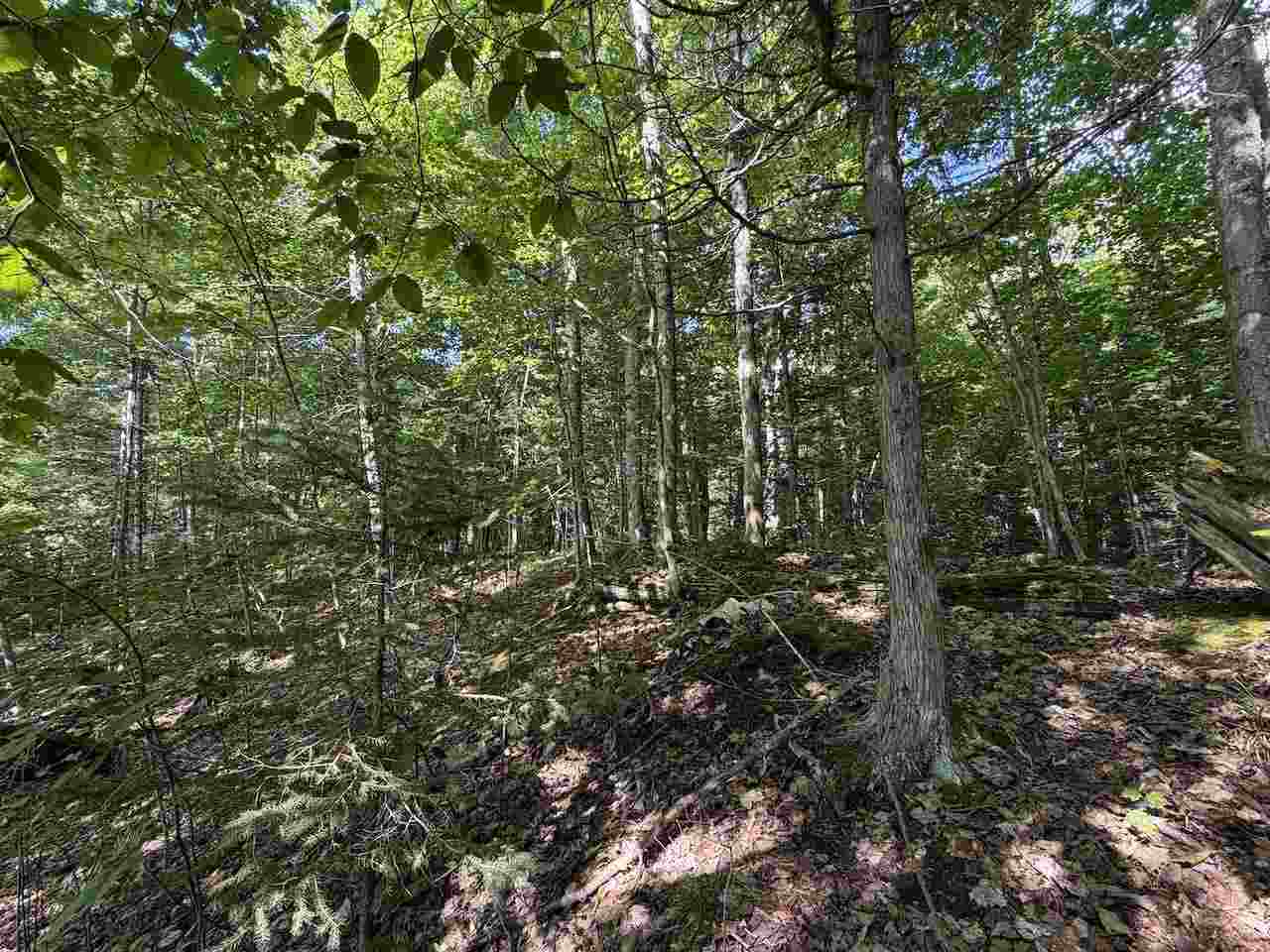 37690 37690 Allen's Lakeview Road Beaver Island MI 49782