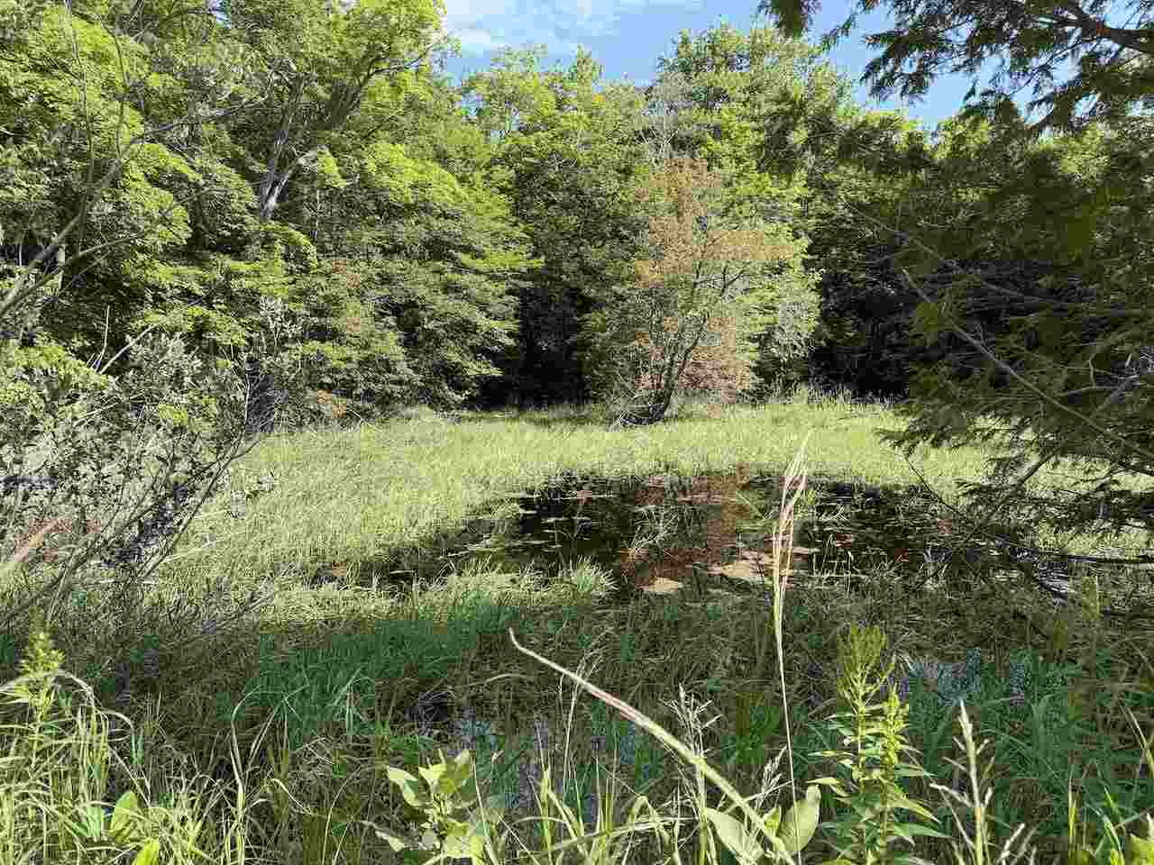 37690 37690 Allen's Lakeview Road Beaver Island MI 49782