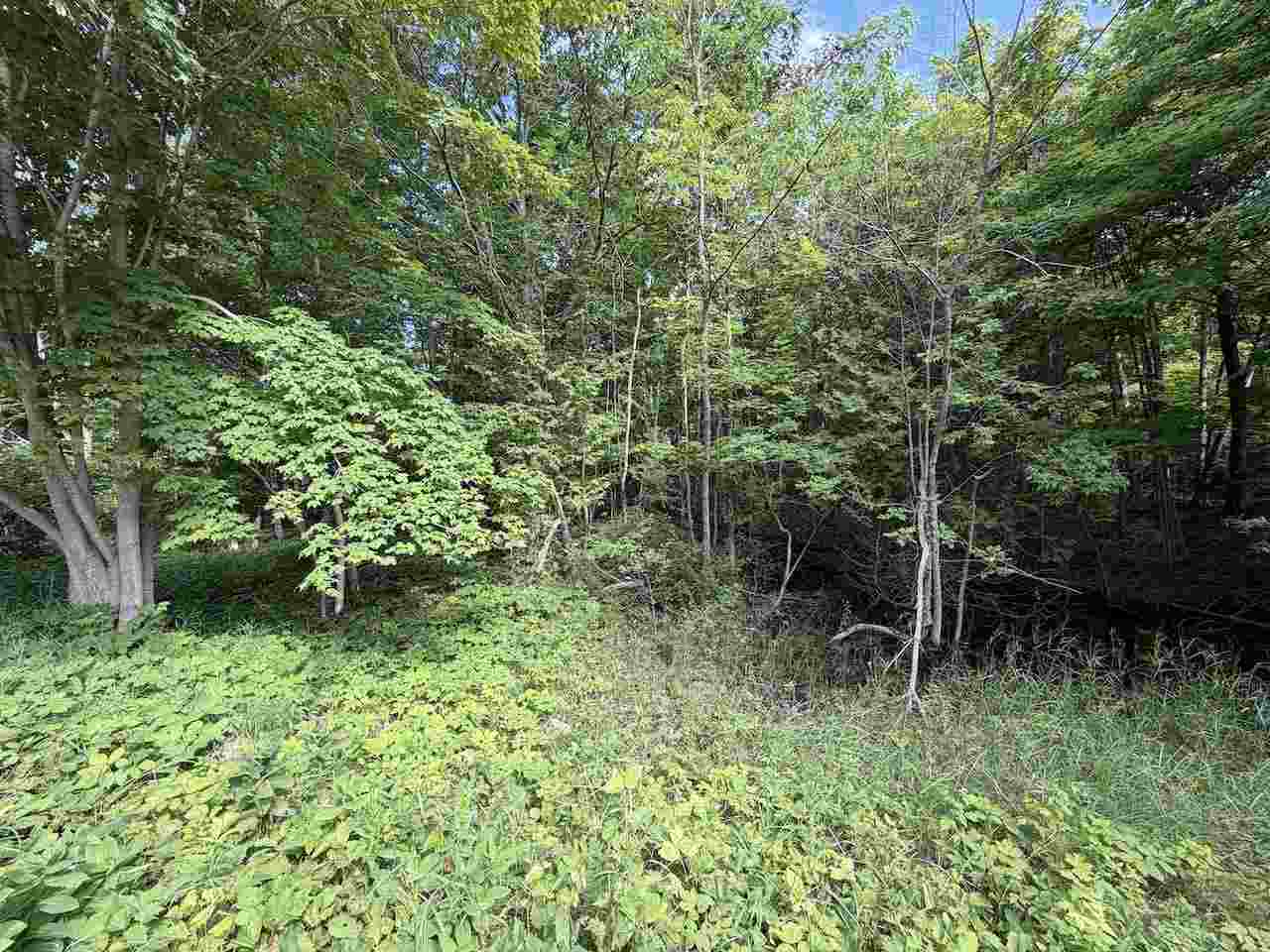 37690 37690 Allen's Lakeview Road Beaver Island MI 49782