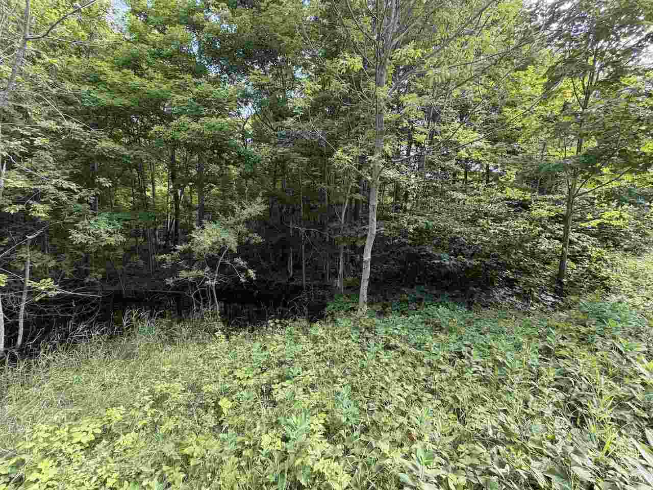 37690 37690 Allen's Lakeview Road Beaver Island MI 49782