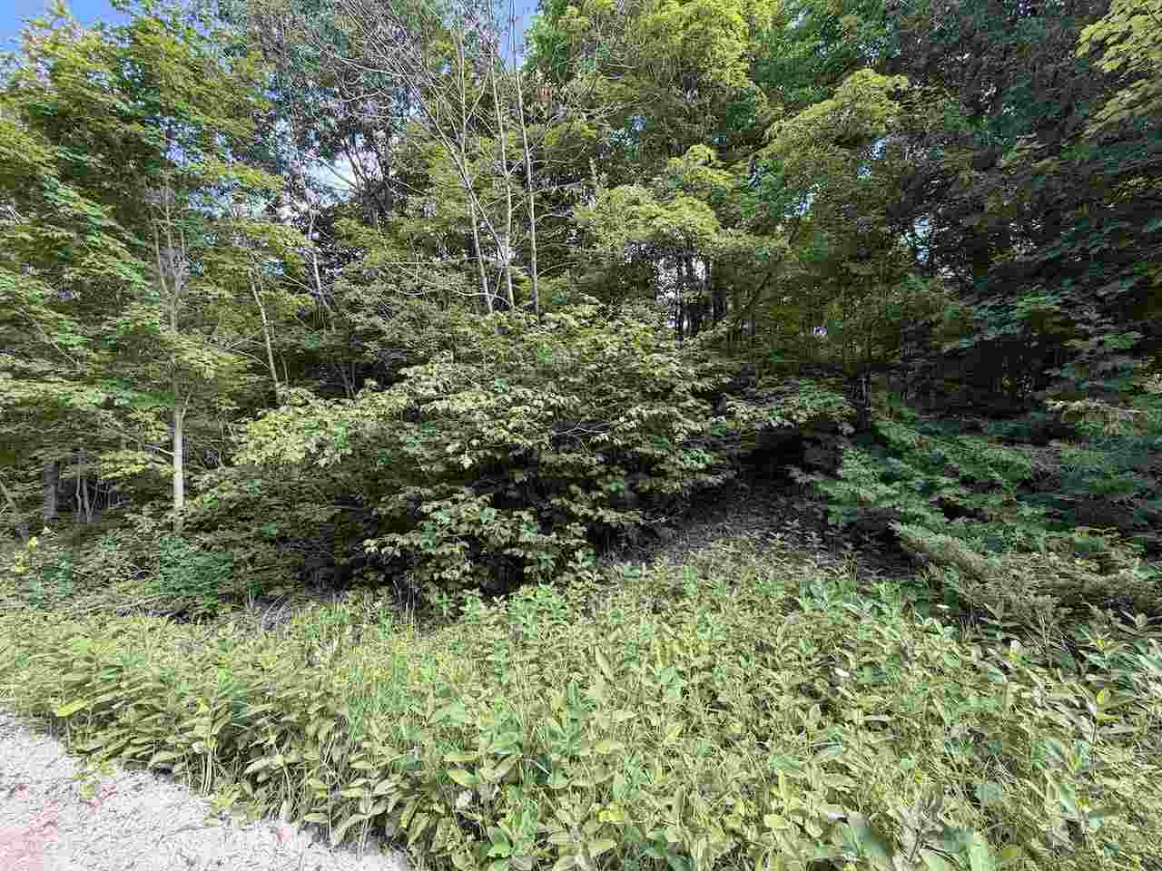 37690 37690 Allen's Lakeview Road Beaver Island MI 49782