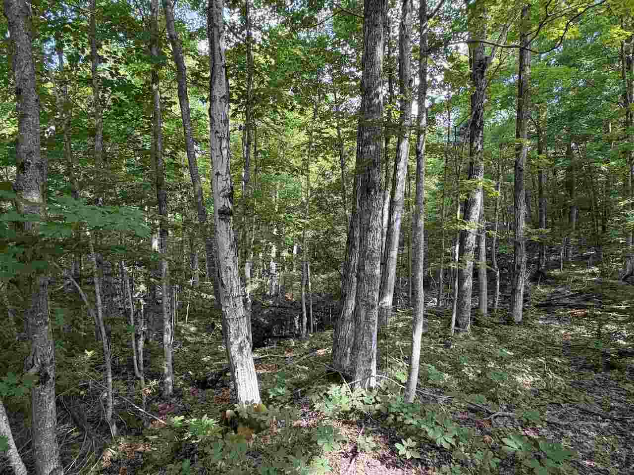 37690 37690 Allen's Lakeview Road Beaver Island MI 49782