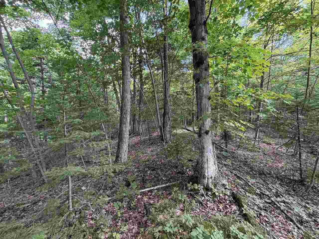 37690 37690 Allen's Lakeview Road Beaver Island MI 49782