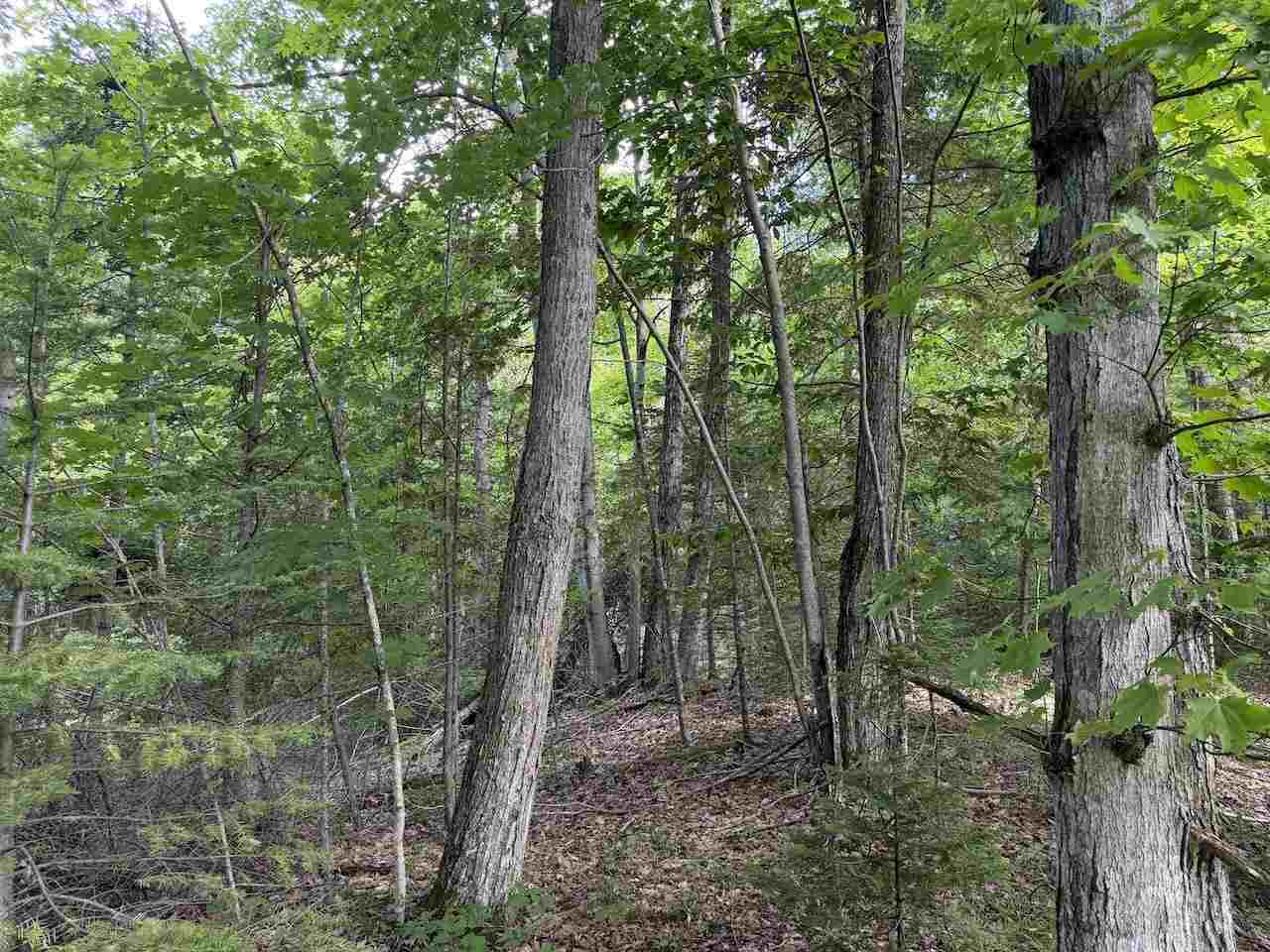 37690 37690 Allen's Lakeview Road Beaver Island MI 49782