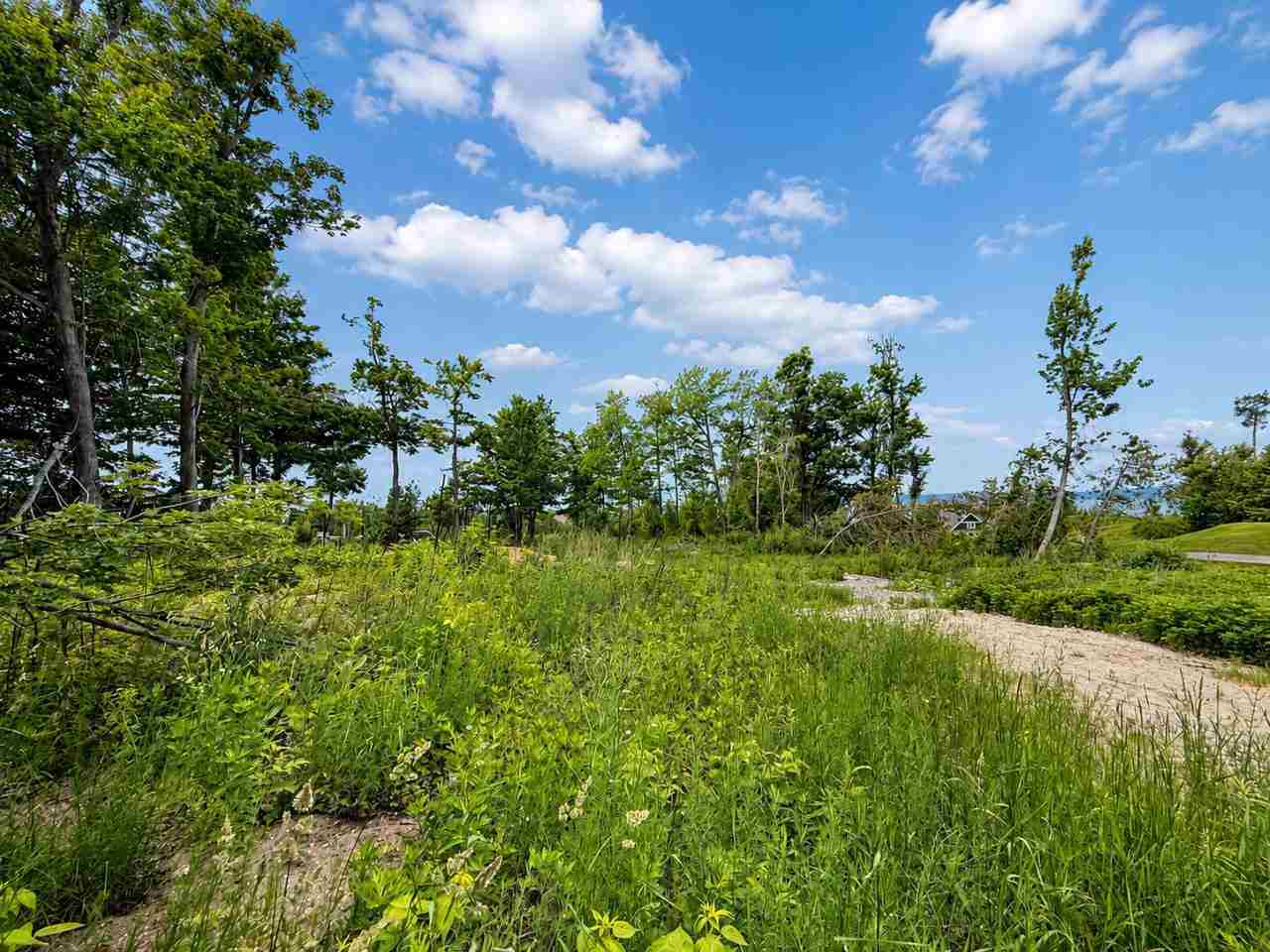 6114 Coastal Cliffs Court Bay Harbor MI 49770