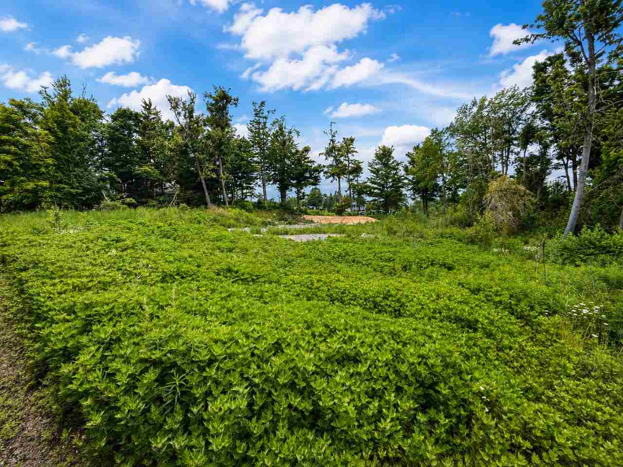 6114 Coastal Cliffs Court Bay Harbor MI 49770