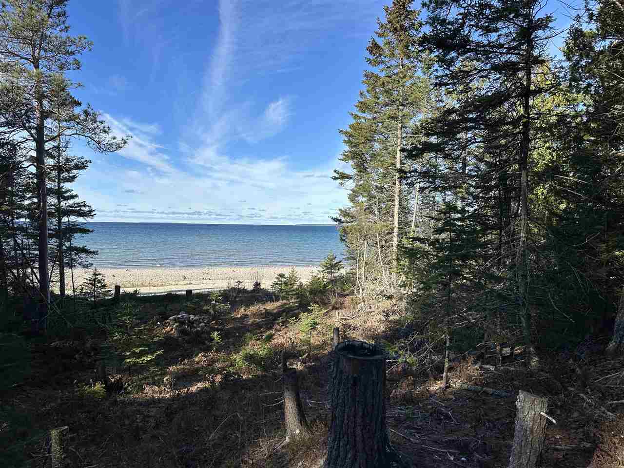 32010 Mrs. Redding's Trail Beaver Island MI 49782