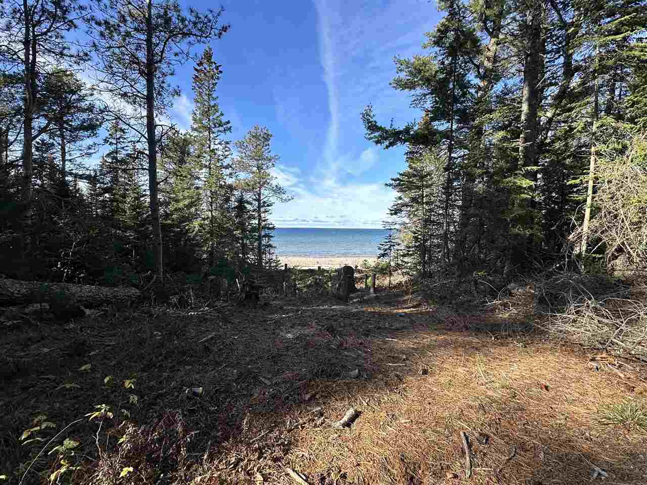 32010 Mrs. Redding's Trail Beaver Island MI 49782