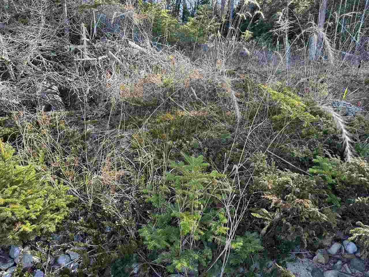 32010 Mrs. Redding's Trail Beaver Island MI 49782