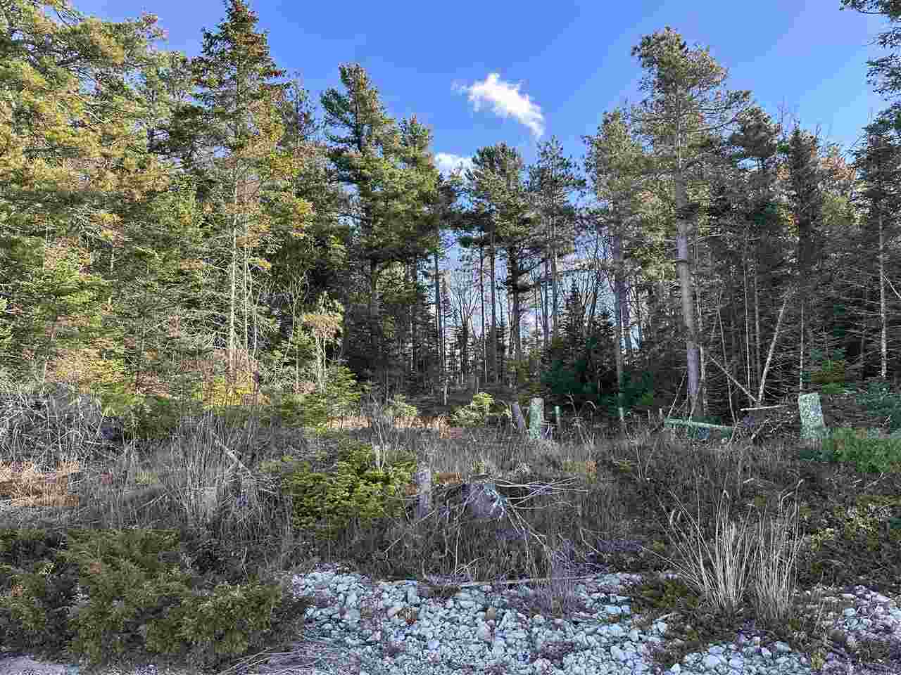 32010 Mrs. Redding's Trail Beaver Island MI 49782