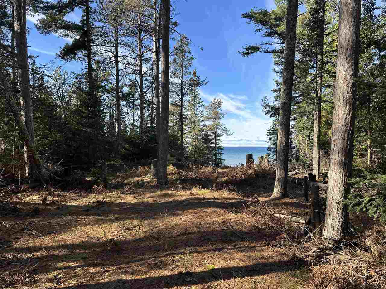 32010 Mrs. Redding's Trail Beaver Island MI 49782