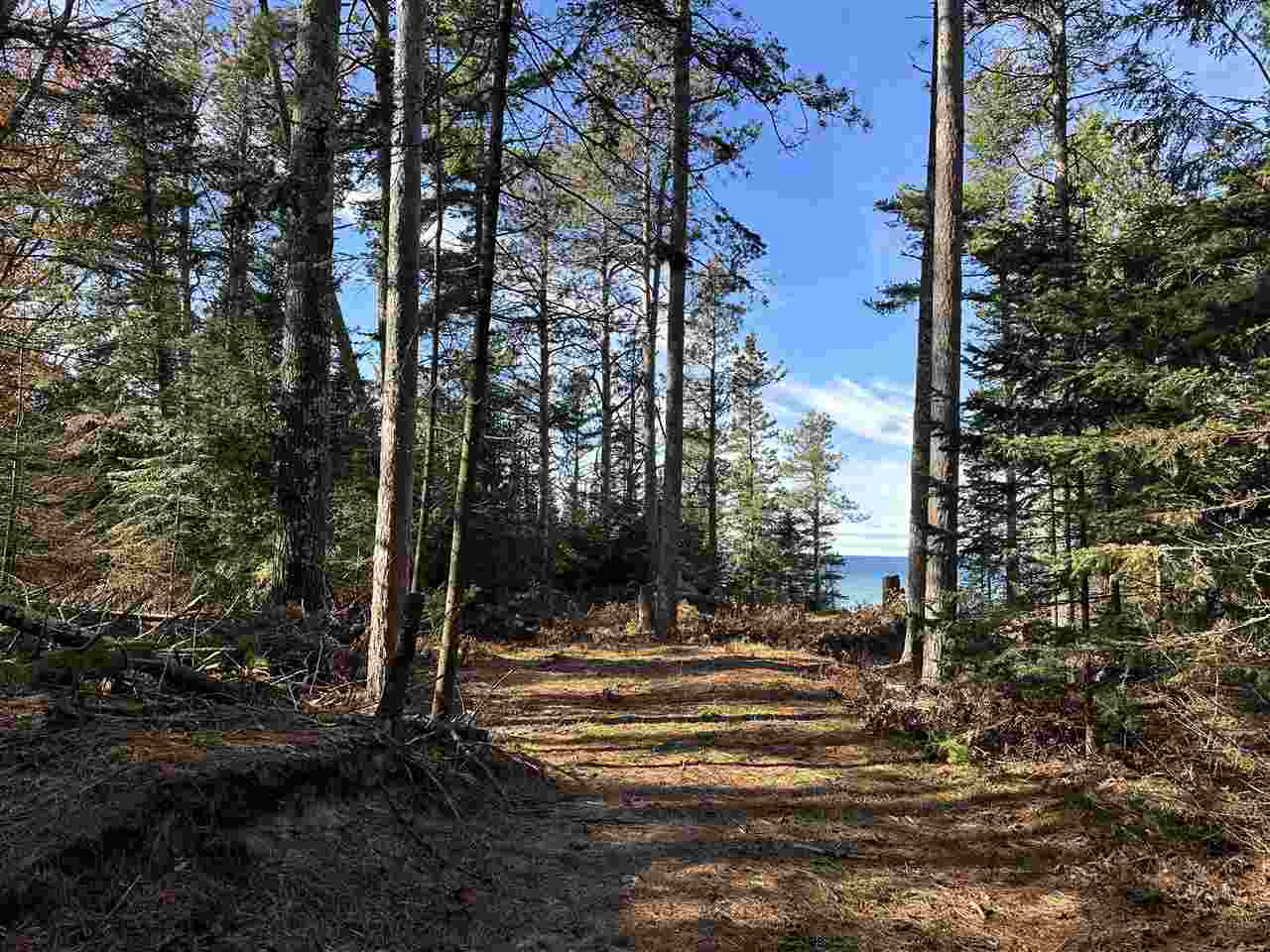 32010 Mrs. Redding's Trail Beaver Island MI 49782