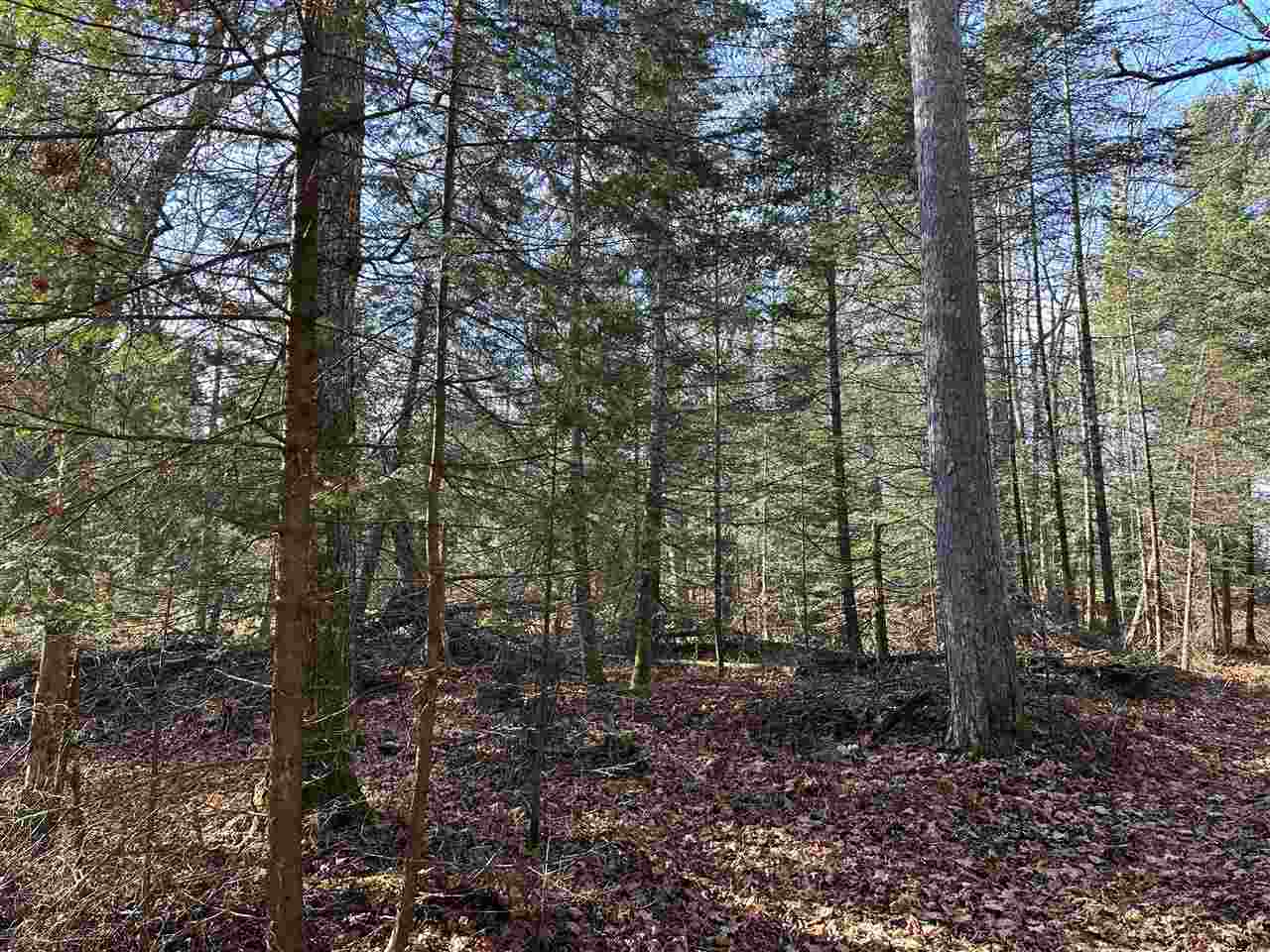 32010 Mrs. Redding's Trail Beaver Island MI 49782