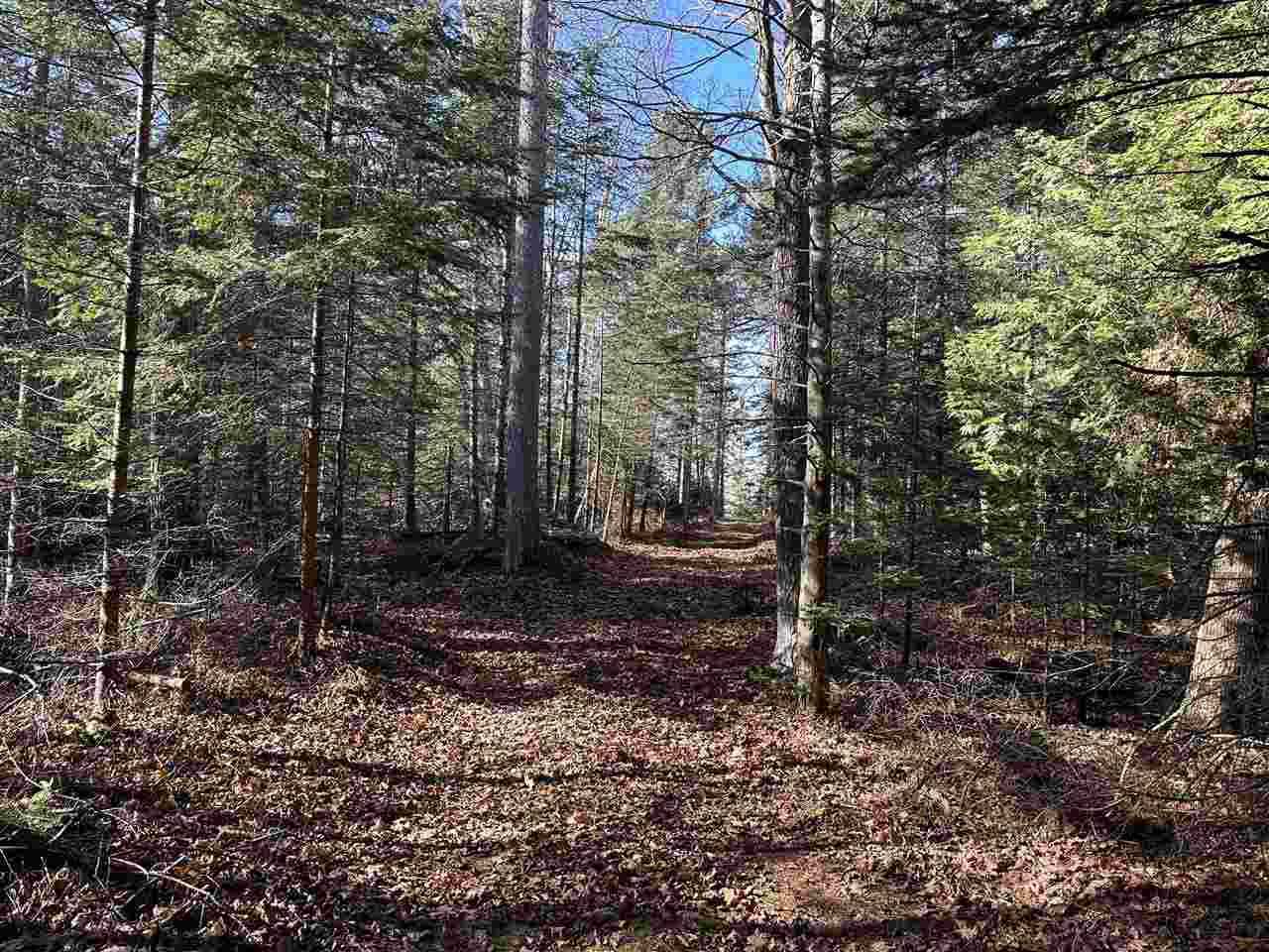 32010 Mrs. Redding's Trail Beaver Island MI 49782