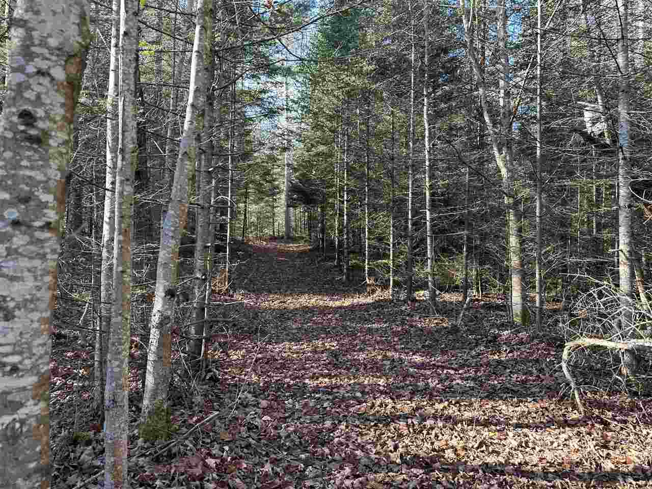 32010 Mrs. Redding's Trail Beaver Island MI 49782