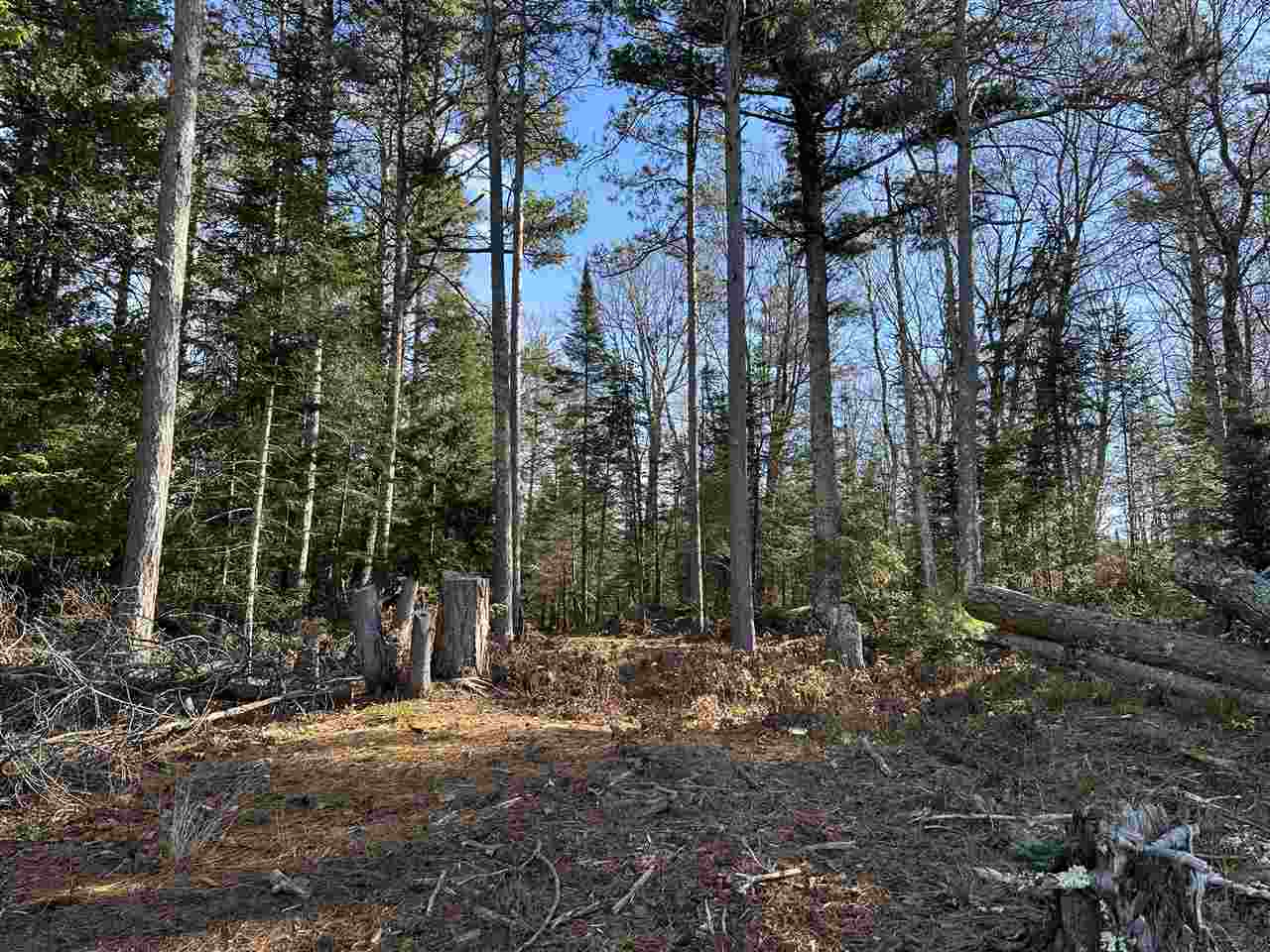 32010 Mrs. Redding's Trail Beaver Island MI 49782