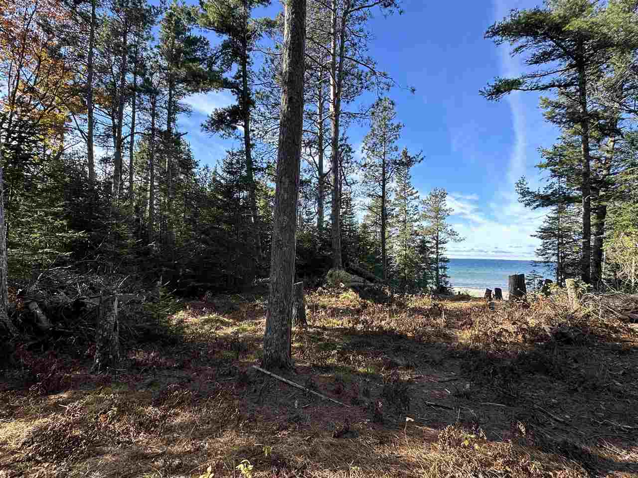 32010 Mrs. Redding's Trail Beaver Island MI 49782