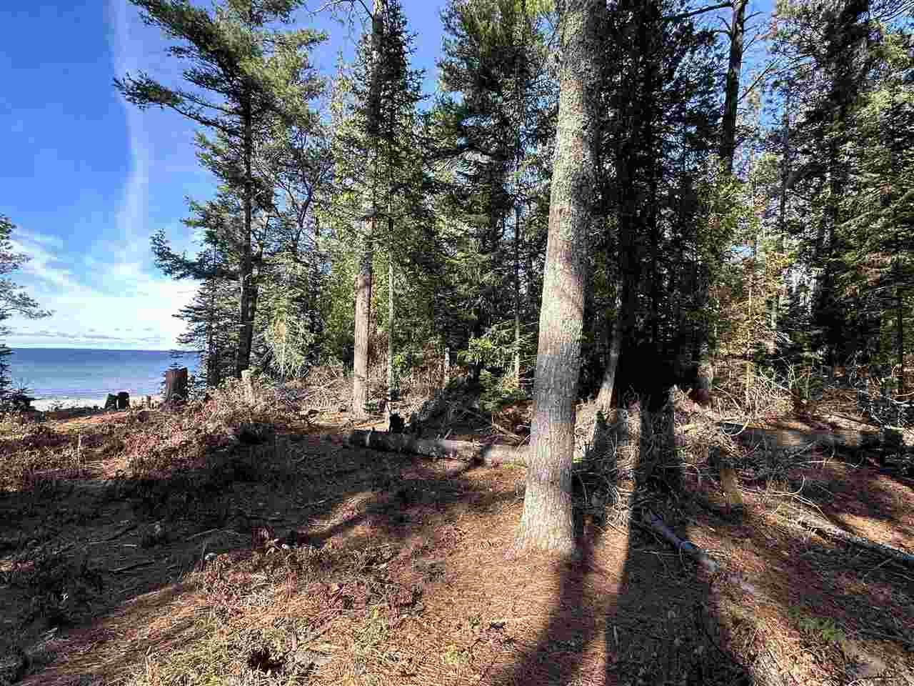 32010 Mrs. Redding's Trail Beaver Island MI 49782