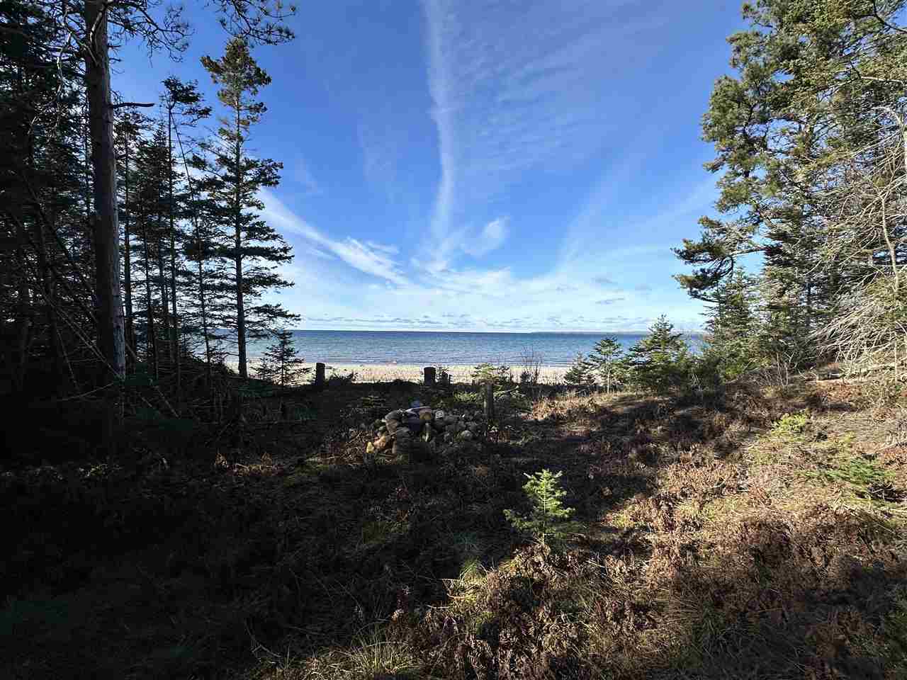32010 Mrs. Redding's Trail Beaver Island MI 49782