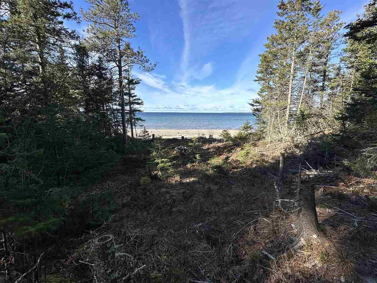 32010 Mrs. Redding's Trail Beaver Island MI 49782