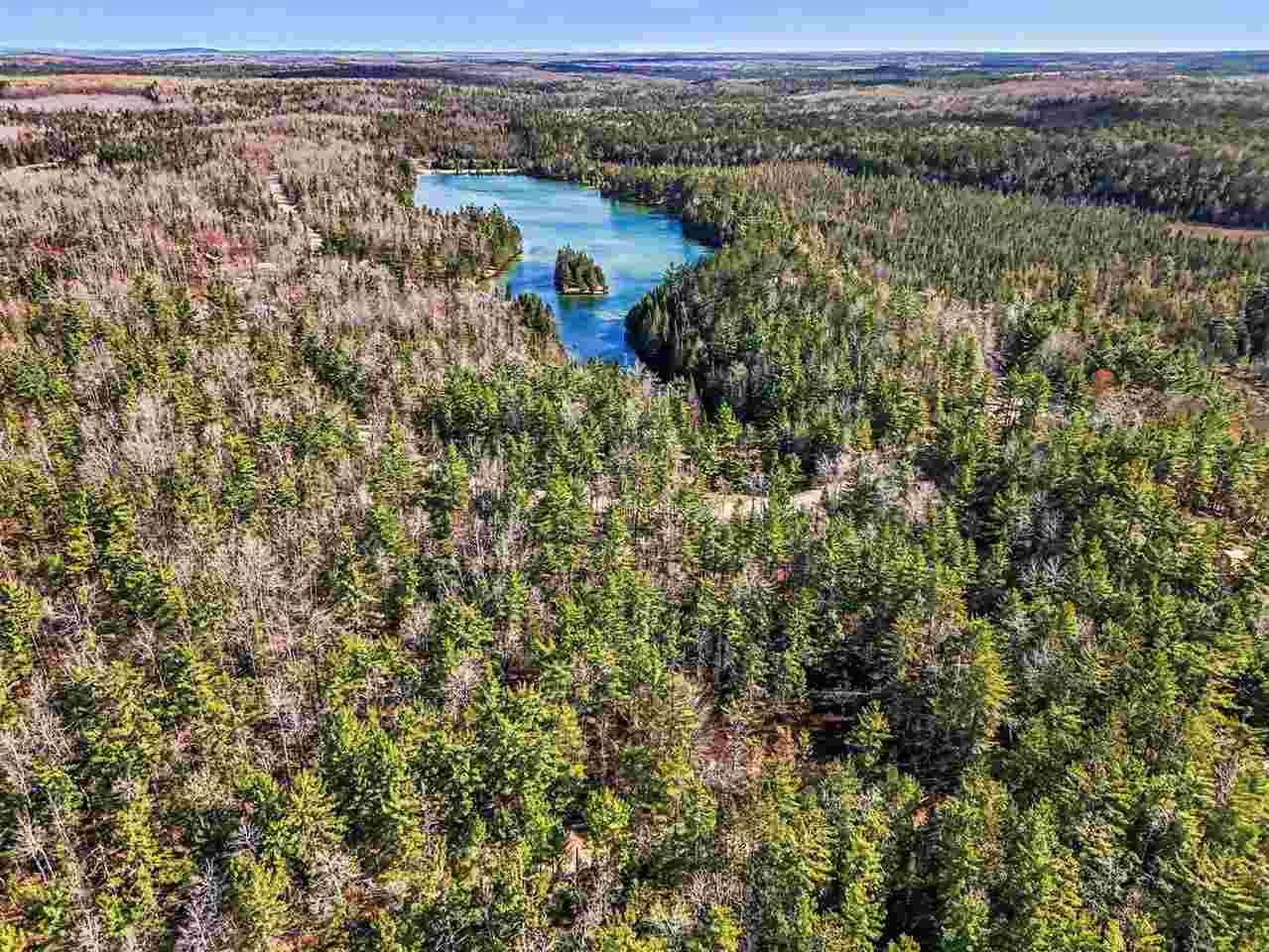 14754 Shore Line Drive Wolverine MI 49799