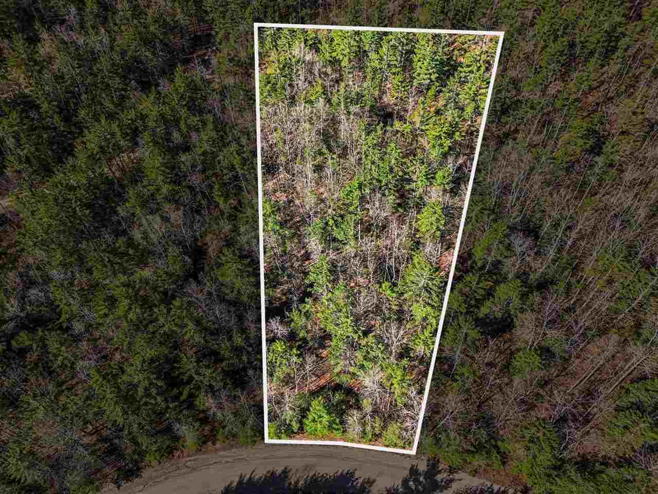 14754 Shore Line Drive Wolverine MI 49799