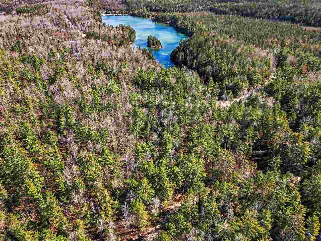 14754 Shore Line Drive Wolverine MI 49799