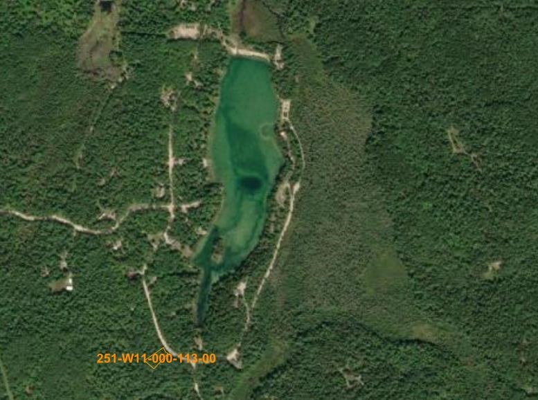 14754 Shore Line Drive Wolverine MI 49799