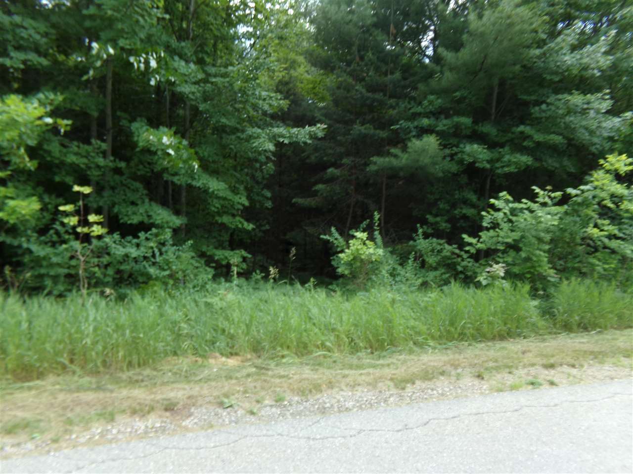 00000 E Fontenoy Street Boyne City MI 49712