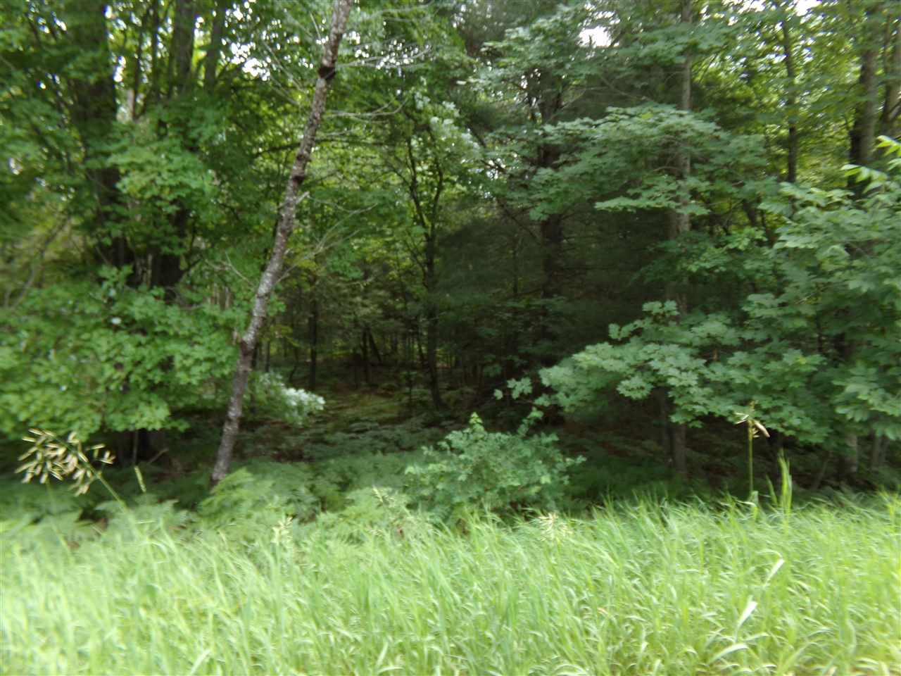 00000 E Fontenoy Street Boyne City MI 49712