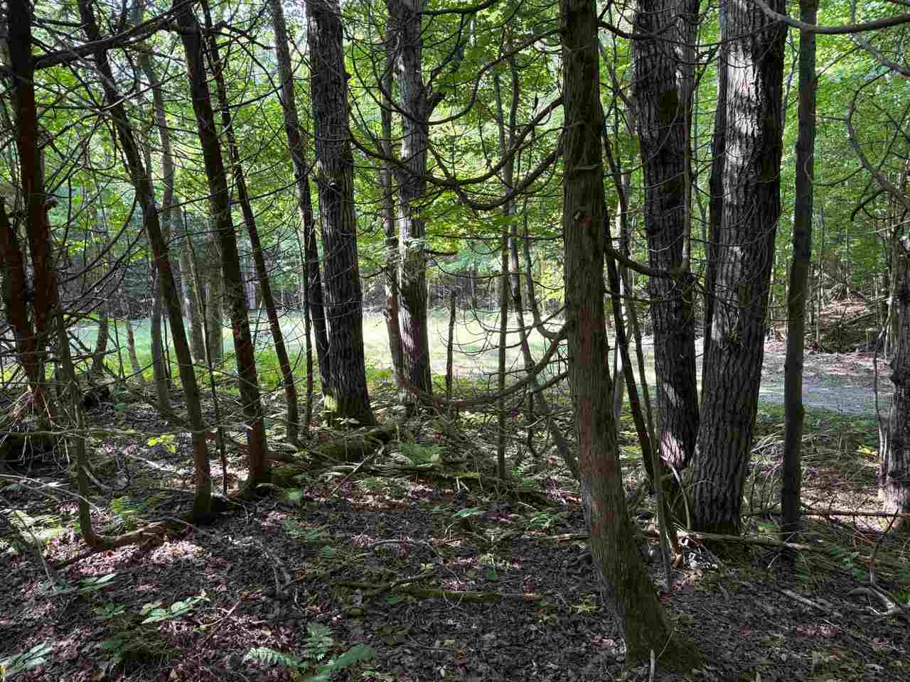 Lot 414 Wild Woods Court Beaver Island MI 49782