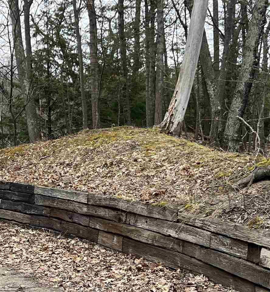 5095 Thorne Swift Court Harbor Springs MI 49740