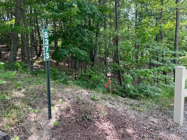 5095 Thorne Swift Court Harbor Springs MI 49740