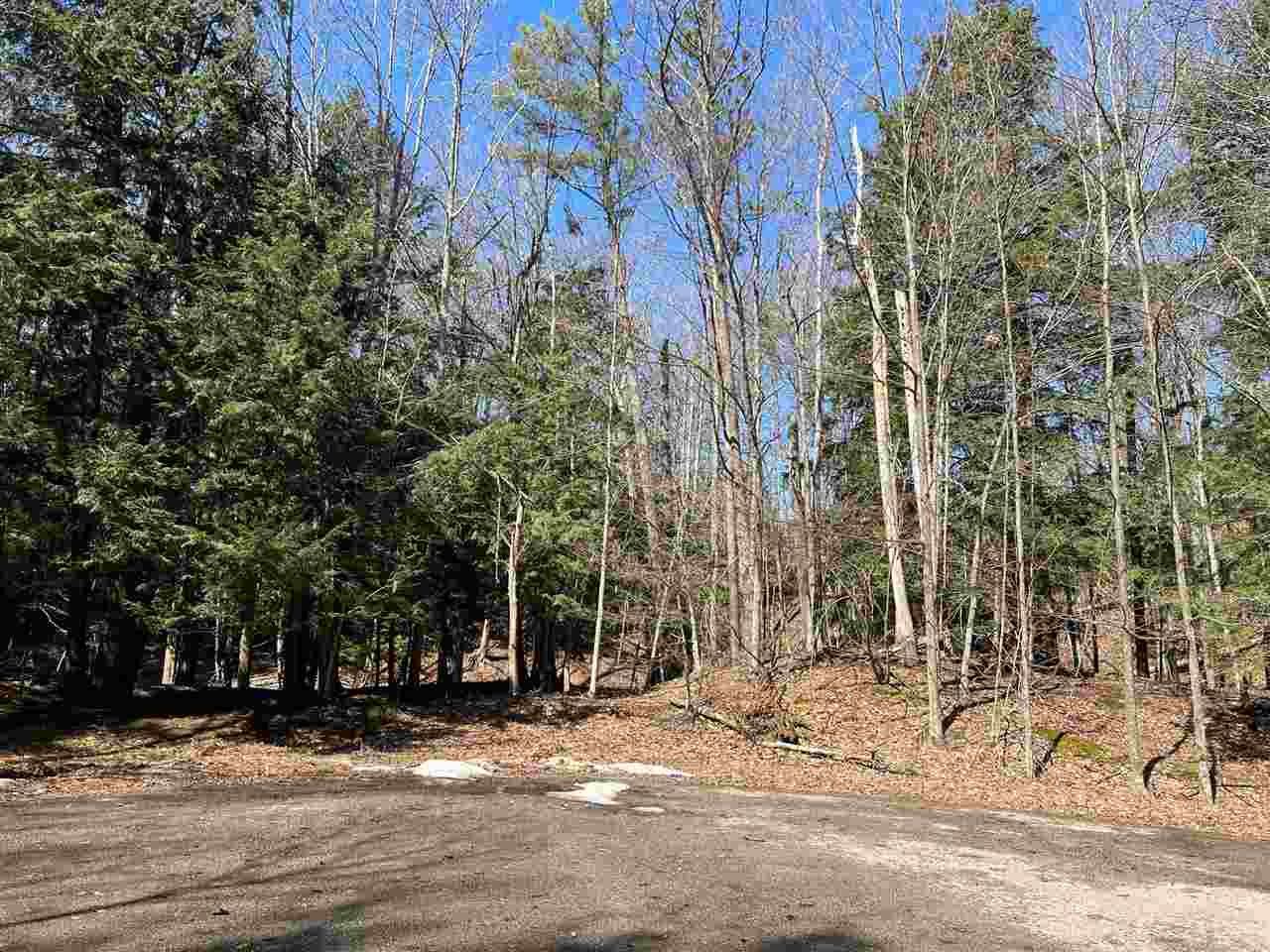 5095 Thorne Swift Court Harbor Springs MI 49740