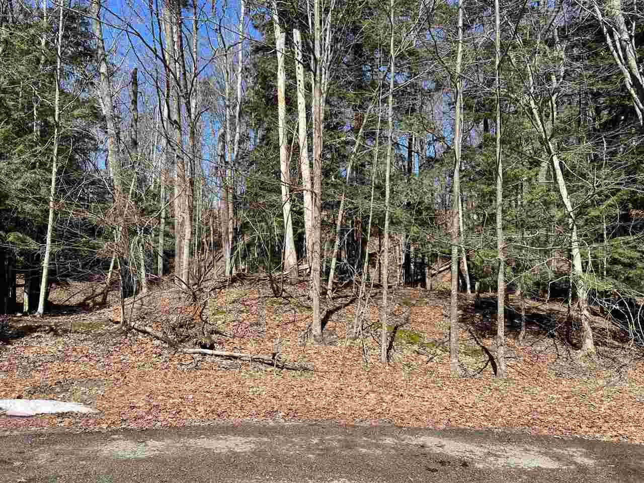 5095 Thorne Swift Court Harbor Springs MI 49740