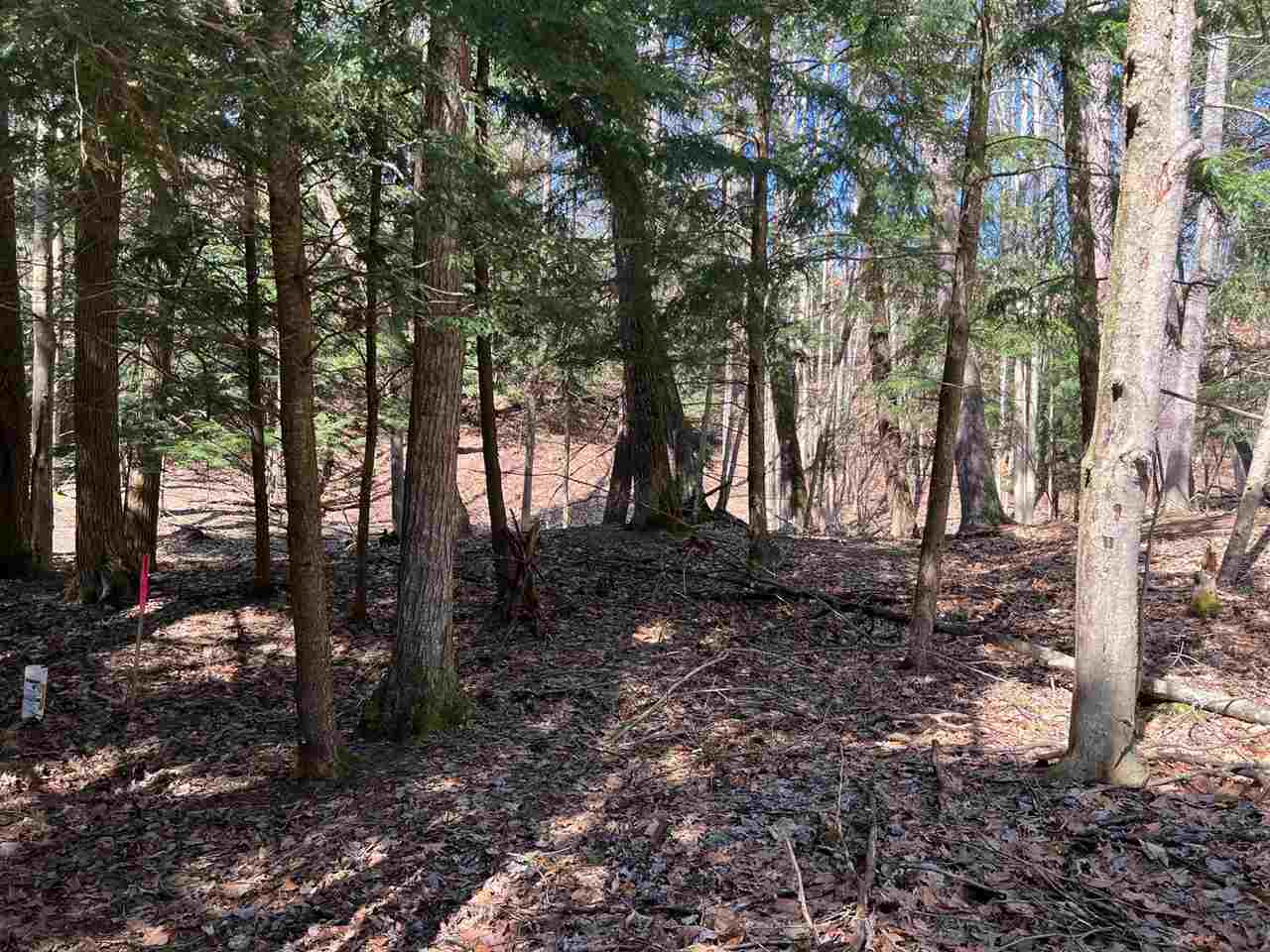 5095 Thorne Swift Court Harbor Springs MI 49740