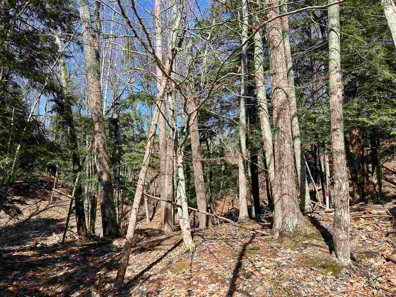 5095 Thorne Swift Court Harbor Springs MI 49740