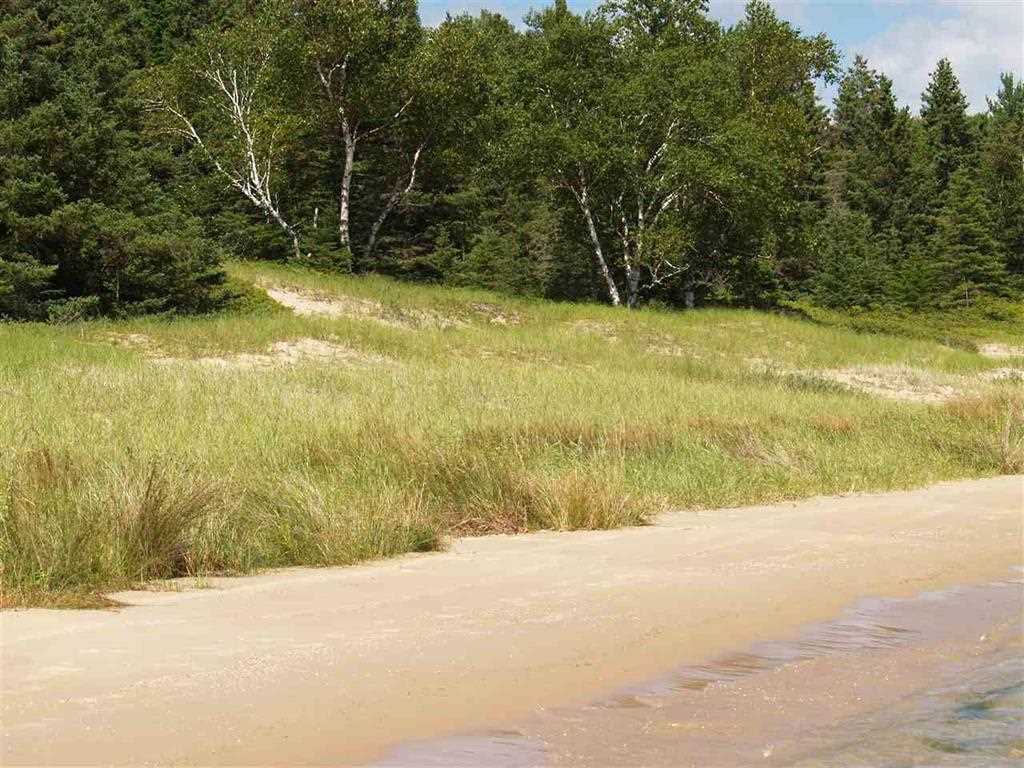 5095 Thorne Swift Court Harbor Springs MI 49740