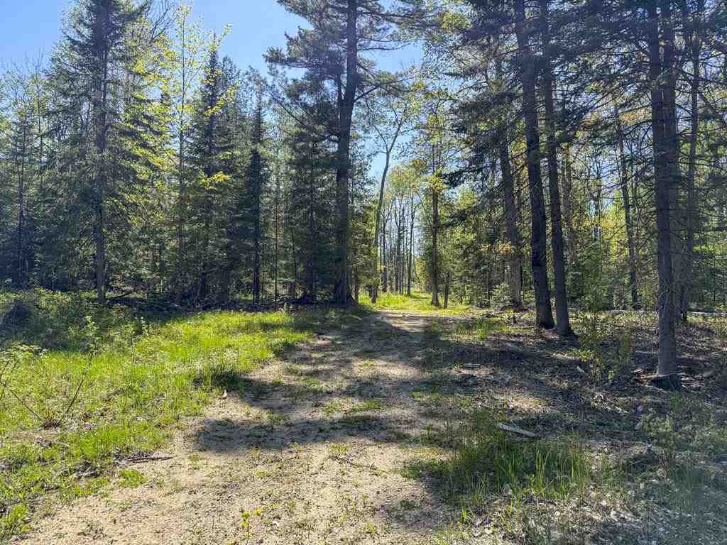 29675 East Side Drive Beaver Island MI 49782