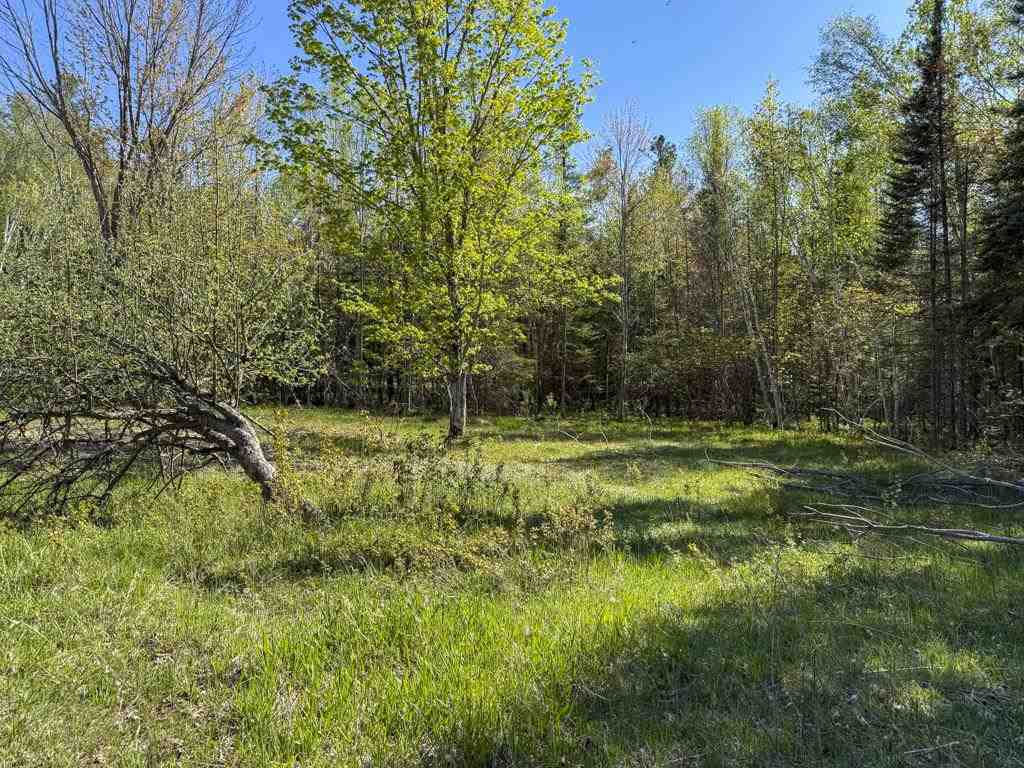 29675 East Side Drive Beaver Island MI 49782
