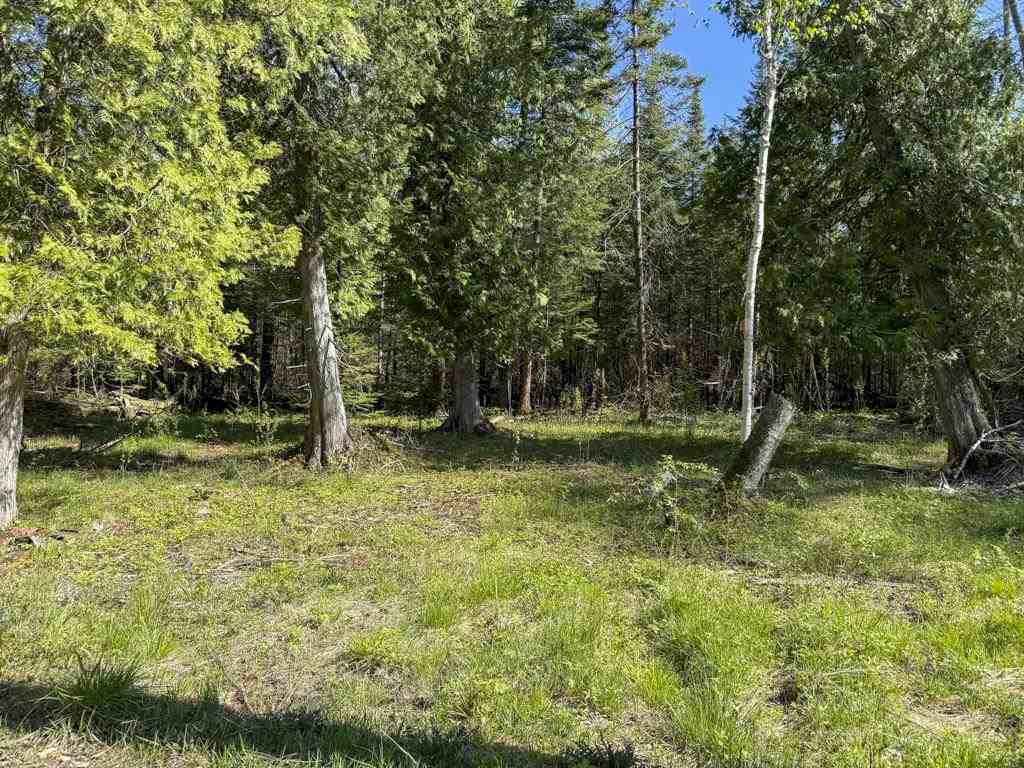 29675 East Side Drive Beaver Island MI 49782