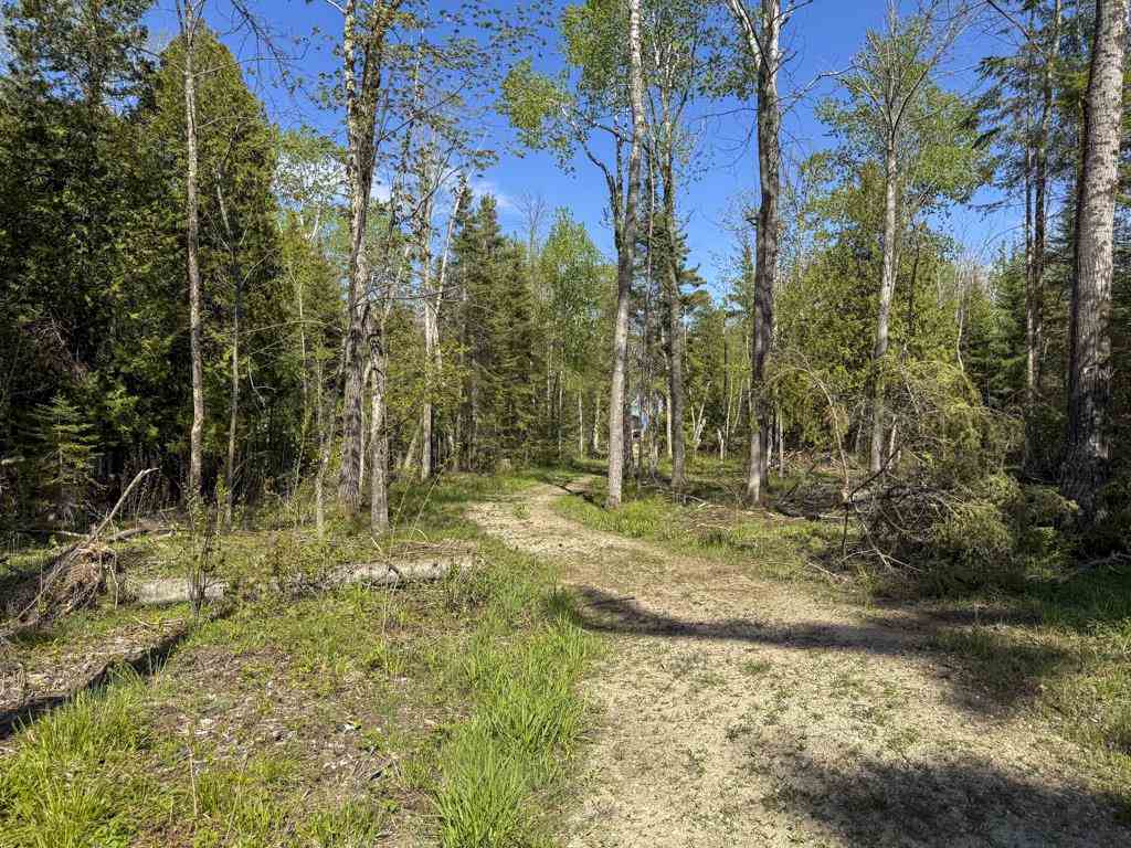 29675 East Side Drive Beaver Island MI 49782
