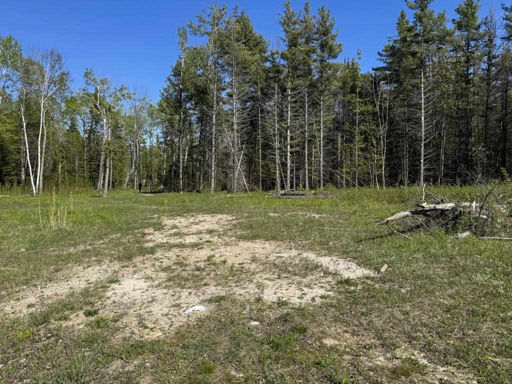 29675 East Side Drive Beaver Island MI 49782
