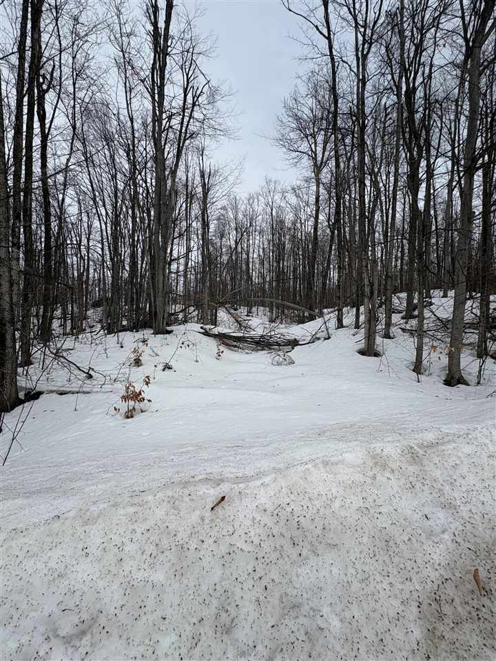 319 Beaux Rivages Drive Harbor Springs MI 49740
